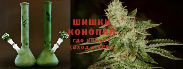 СК Волосово
