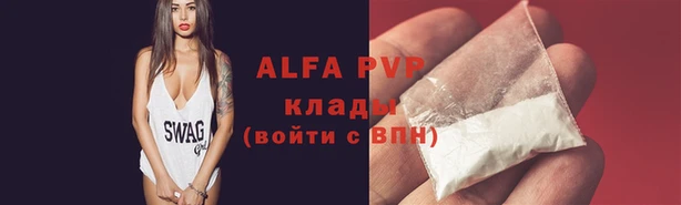 СК Волосово