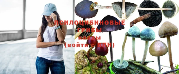 СК Волосово